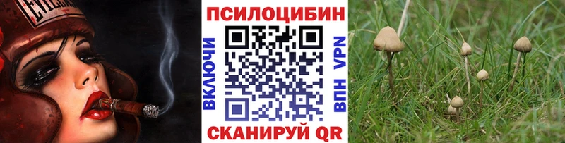 Купить закладки  Жуков  Псилоцибиновые грибы прущие грибы 